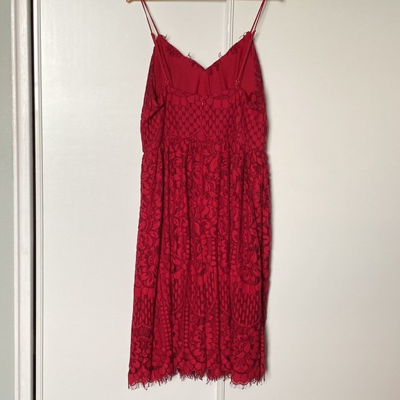 Nicole Miller Stunning lace below knee dress - Picture 4 of 5